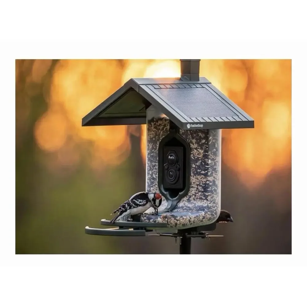 FeatherSnap Smart Bird Feeder with AI Bird Identification and HD Camera w Stand